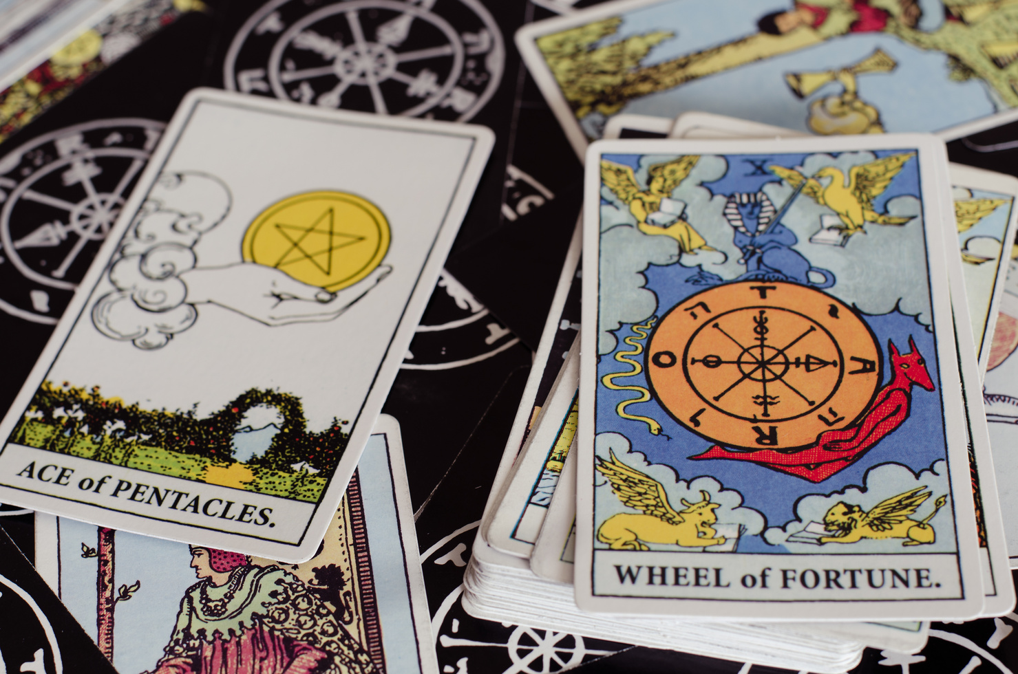Ace of Pentacles and Wheel of Fortune Card of the Tarot Card.